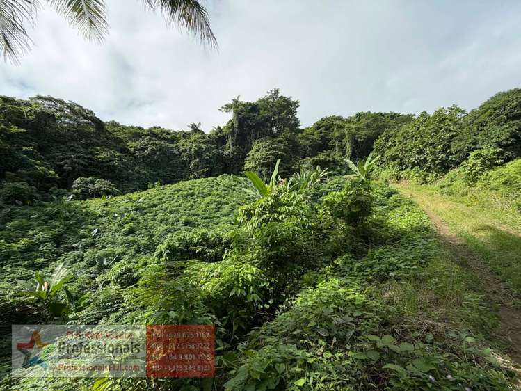 Address withheld Savusavu_21
