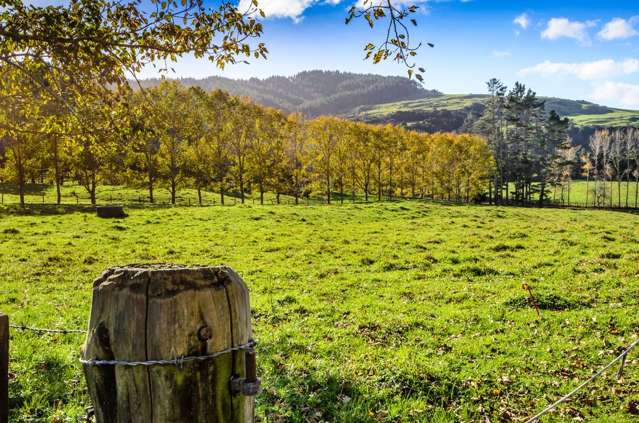 1149 Whangaripo Valley Road Whangaripo_4