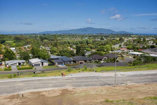 Kakariki Grove Waikanae_1