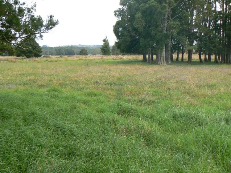 State Highway 12 Kaikohe_10