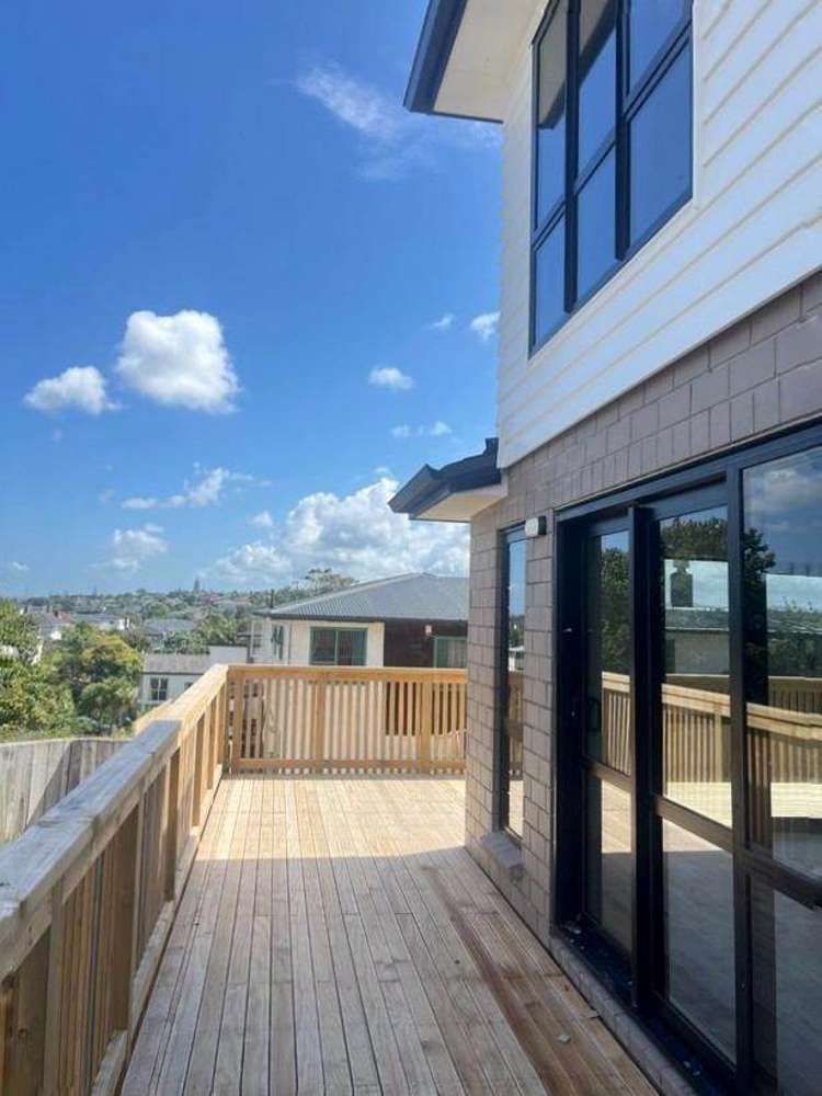 White Swan Road Mt Roskill_12