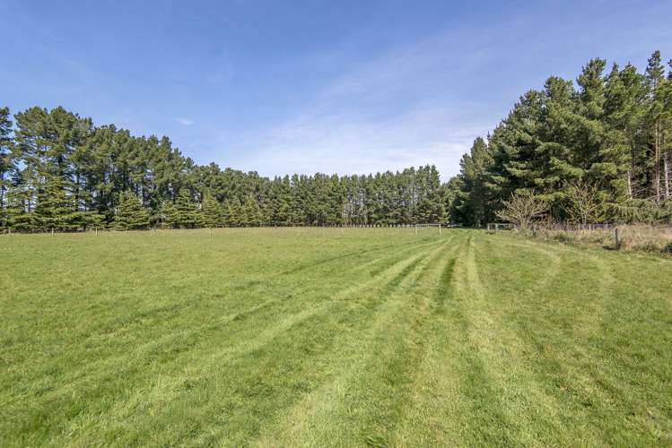 722 Downs Road West Eyreton_14