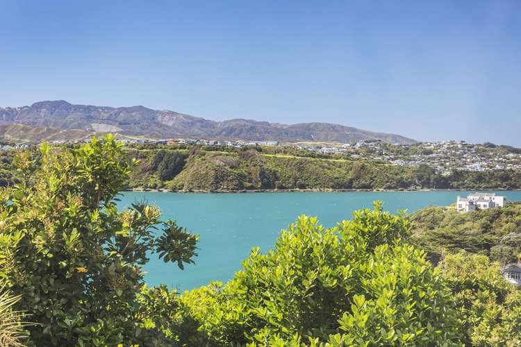 1/53 Grafton Road Roseneath_16