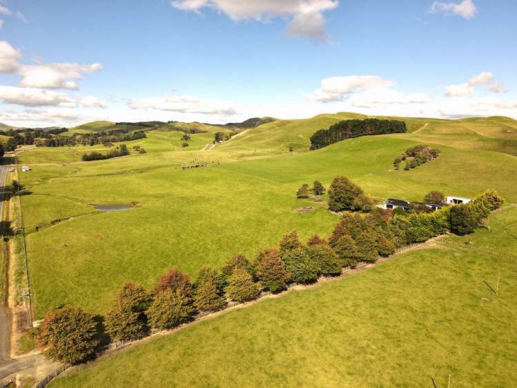 672 Weber Road Dannevirke_9