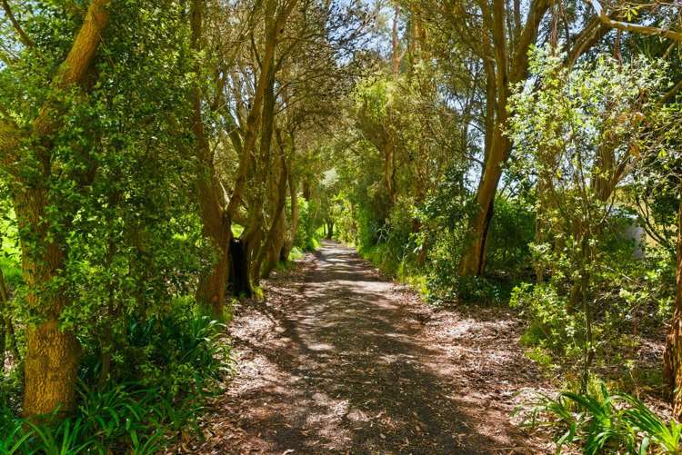 340D Ngarara Road Waikanae_3