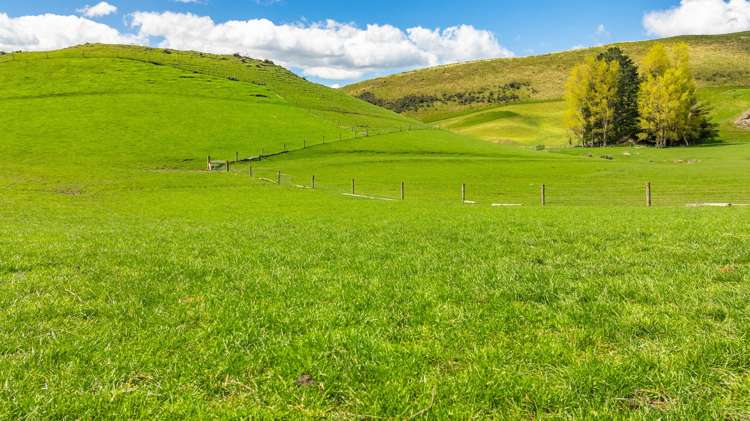 1157 The Peaks Road Hawarden_19