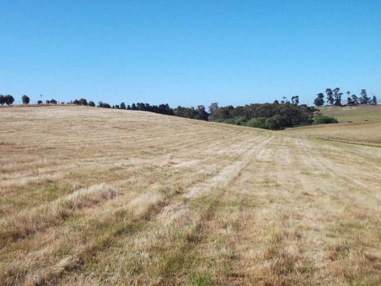 66 Jg Wilson Drive Waipukurau and Surrounds_3