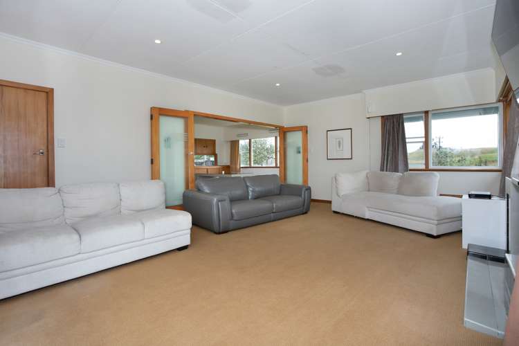 2 Viles Road Bulls_7