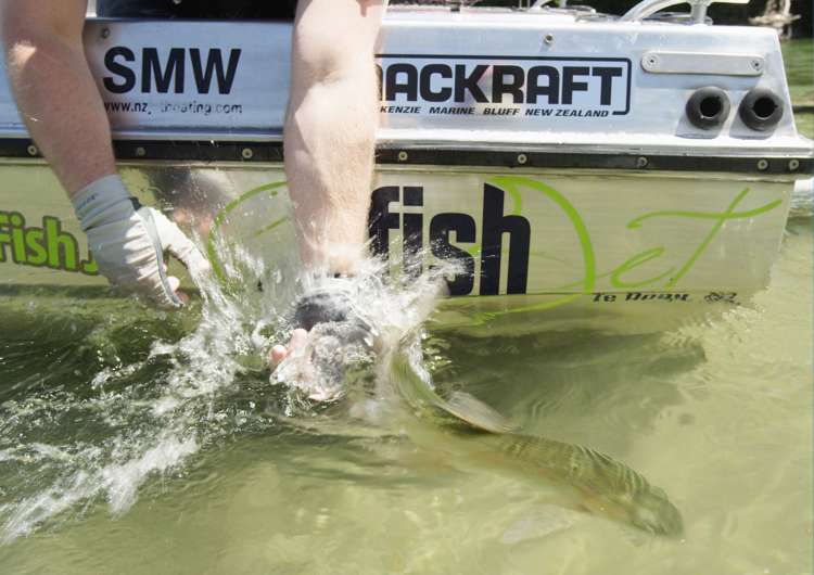 Address withheld Te Anau_3