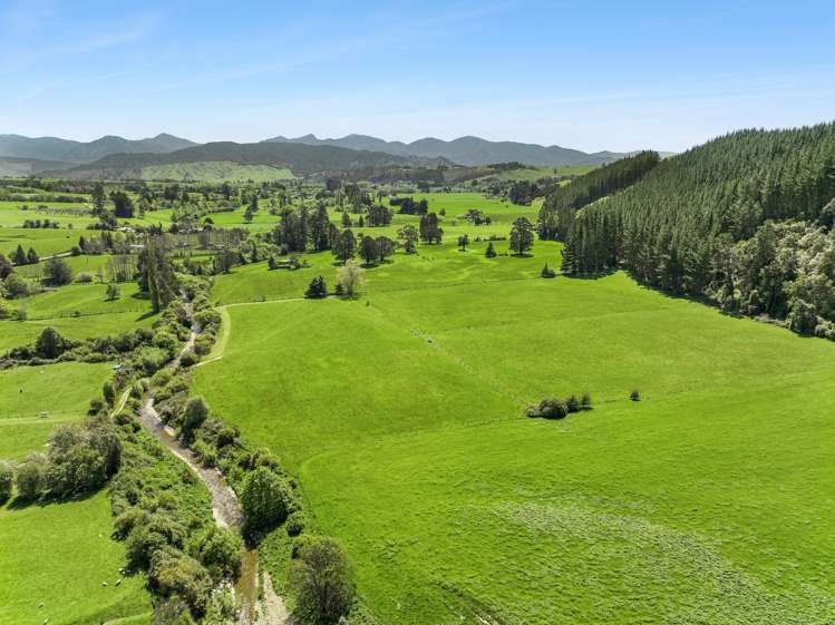 848 Dovedale Road Dovedale_18