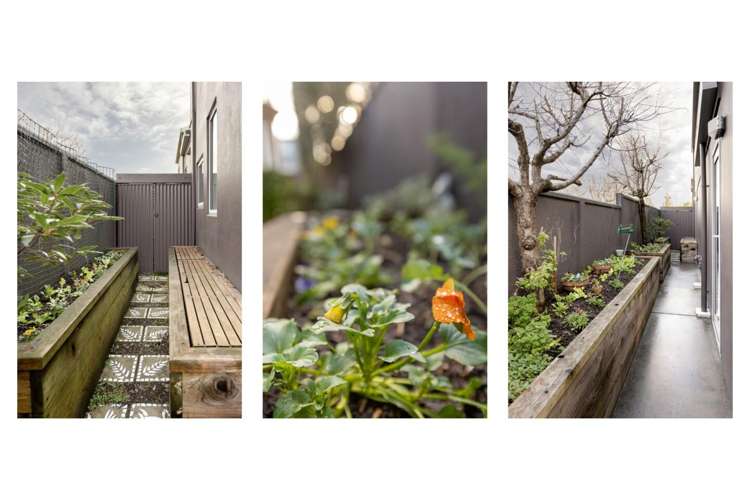 241 Oceanbeach Road Mount Maunganui_35