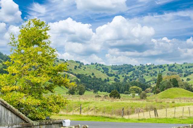 133 Simmons Road Taumarunui_2