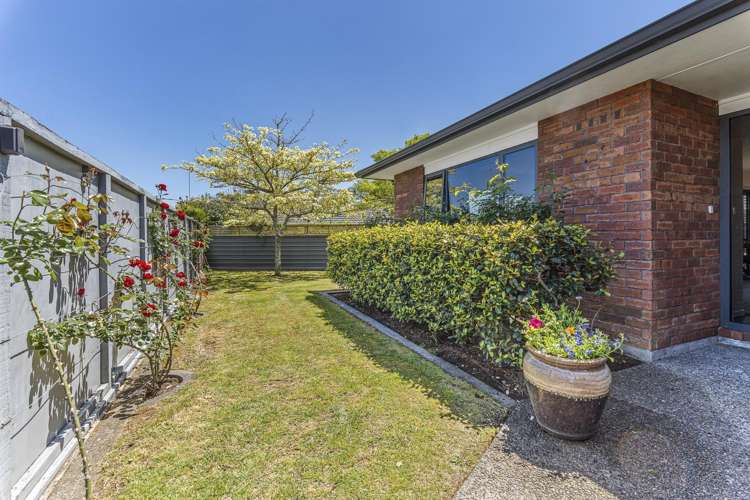 271a Carrington Street Vogeltown_24