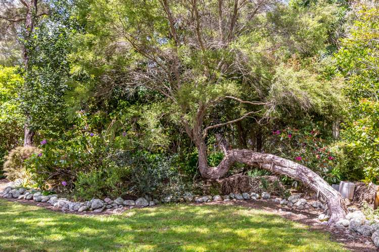 365 Norfolk Road Carterton_25