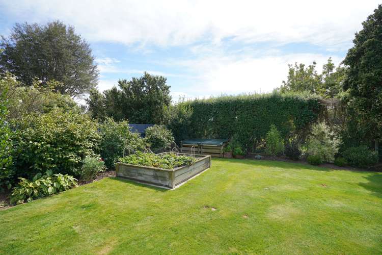 106 Ward Street Waverley_29