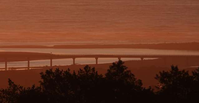 29G Reg Cox Drive Blue Spur_1