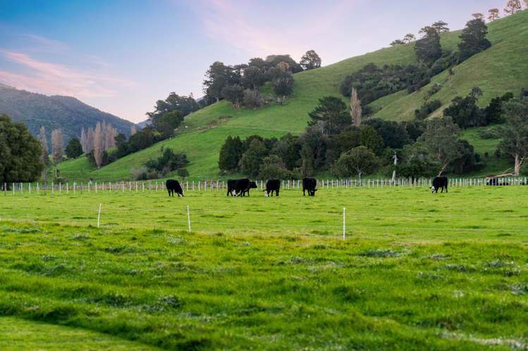 194D Underhill Road Greytown_18