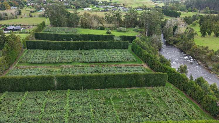 114 Landing Road Kerikeri_6