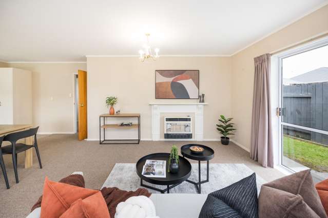 8B Elizabeth Street Palmerston North_3