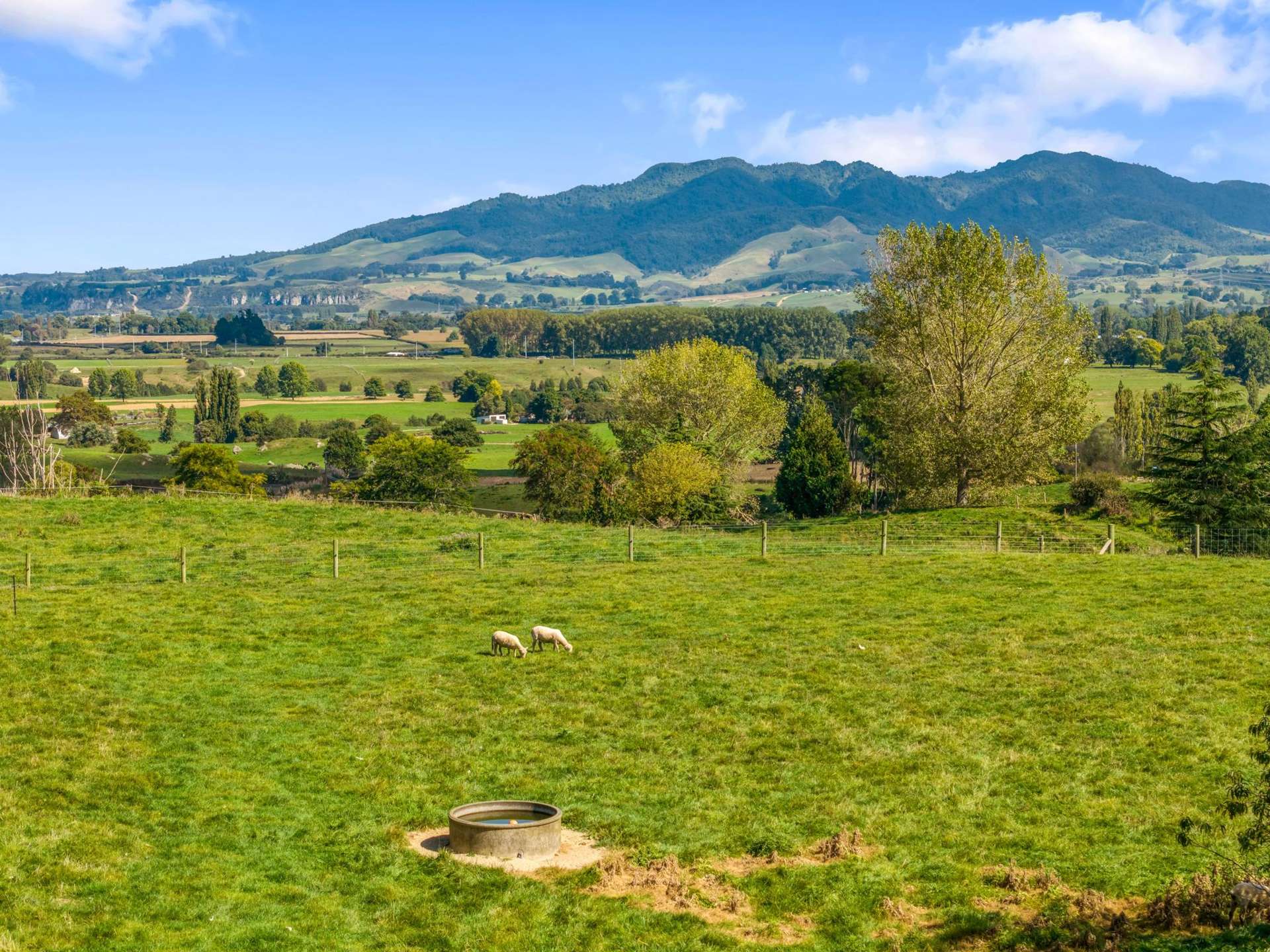 95D Pearsons Road Putaruru_0