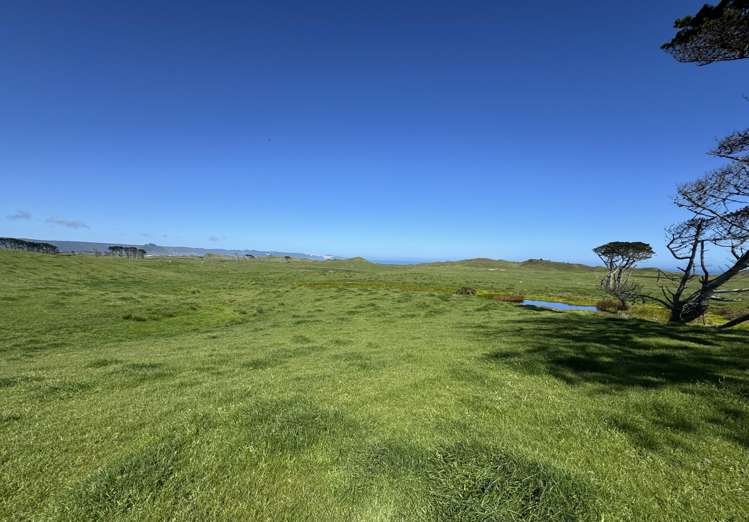 Sandhills Road Ahipara_10