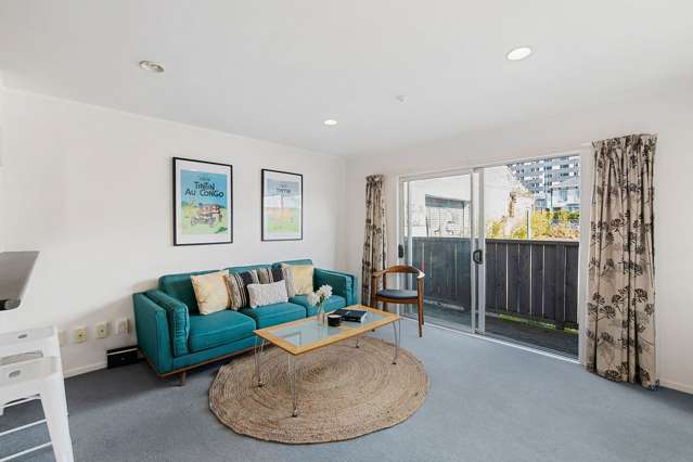 11/3 Kelvin Grove Te Aro_1