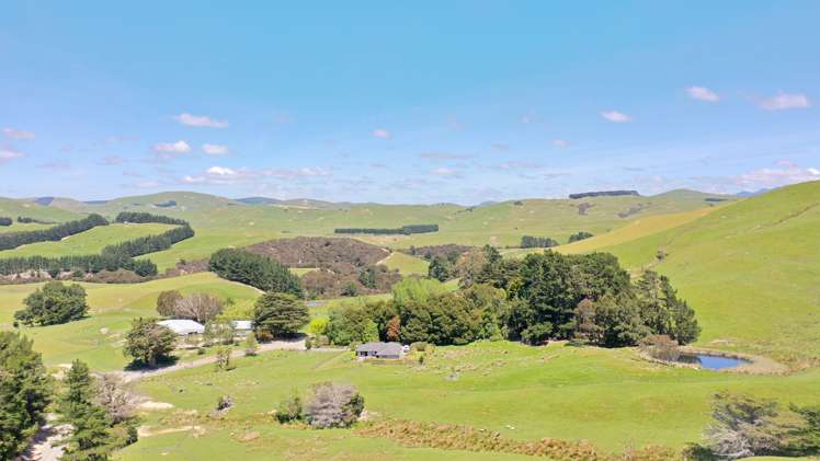 83 Towai Road Dannevirke_45