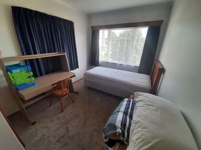 38 Elliott Street Opotiki_2