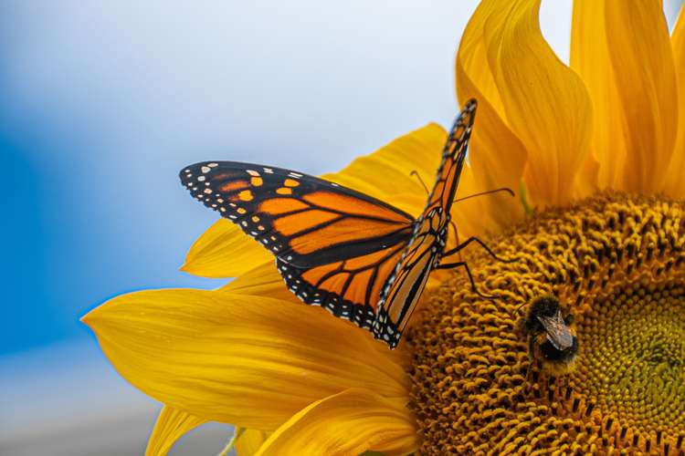 25 Kerswell Terrace Tihiotonga_34