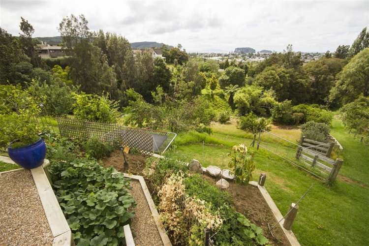 8 Brenton Place Whangamata_5