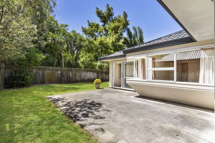 3a Ewenson Avenue One Tree Hill_11