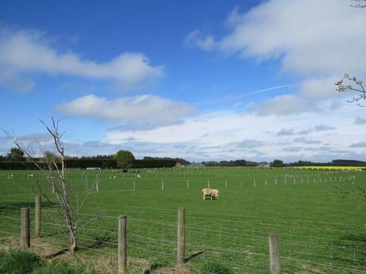 914 Woodlands Invercargill Highway Longbush_14