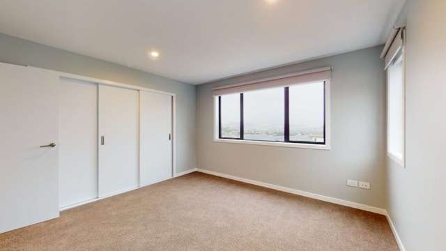 29a Comber Place Johnsonville_4