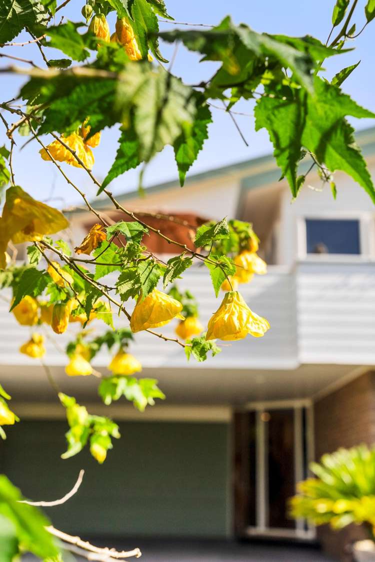 28A Beulah Avenue Rothesay Bay_12