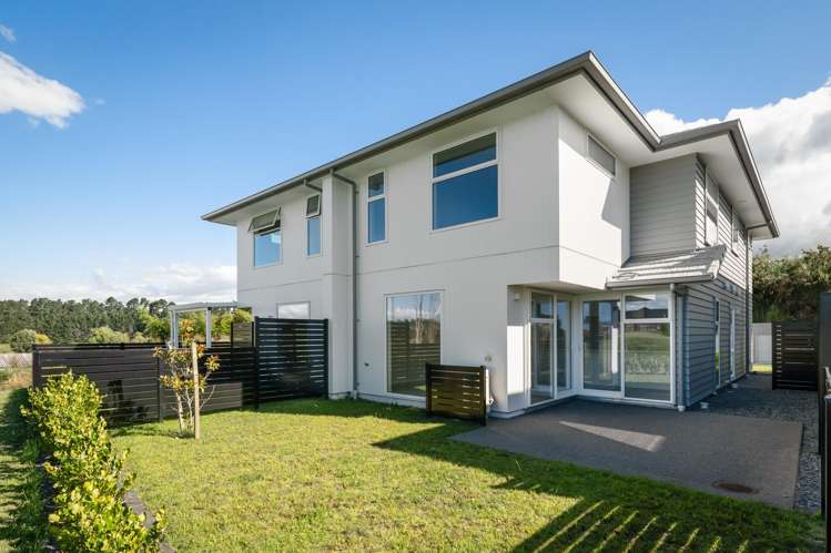 51 Aberdeen Lane Katikati_6