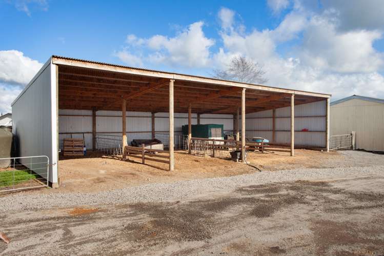 271a Waghorn Road Wardville_17