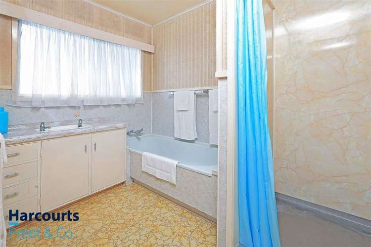 11 Kahurangi Place Hillpark_6