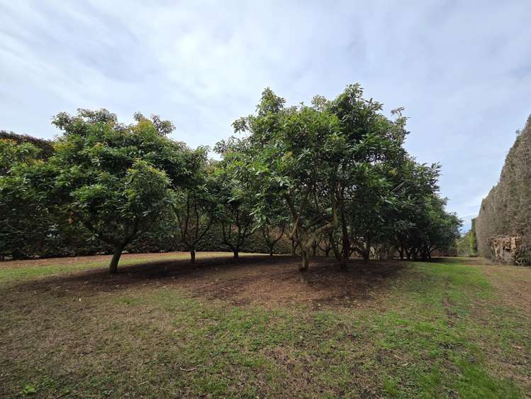 244 Beach Road Katikati_37