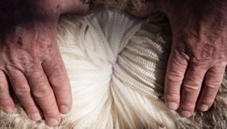 1624 Cardrona Valley Road Cardrona_10