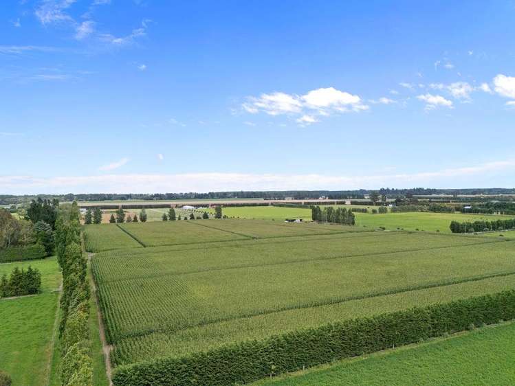 349 Wakanui Road Ashburton_6