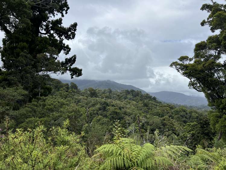 Lot . State Highway 6 Barrytown_5