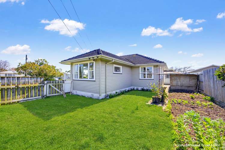 18 Clyde street Levin_25