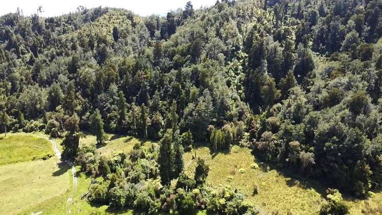 250 Granite Creek Road Karamea_10