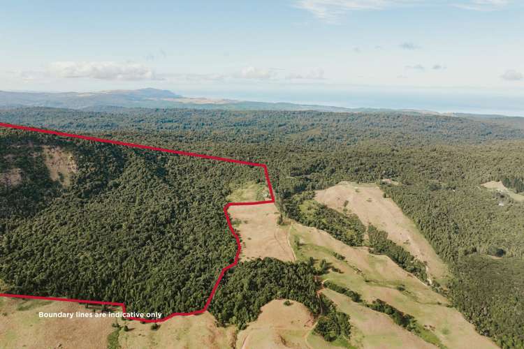 State Highway 12 Waimamaku_11