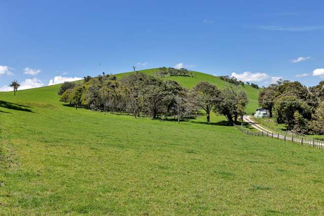 458 Parahi Road Ruawai_4