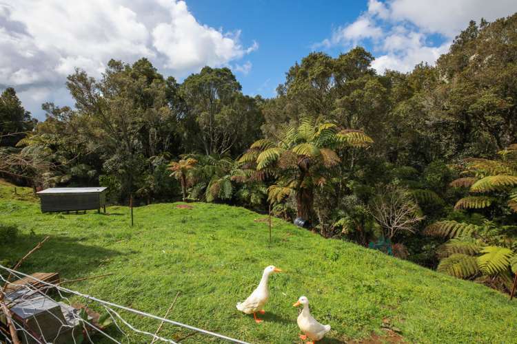 165 Pekanui Road Puketotara_10