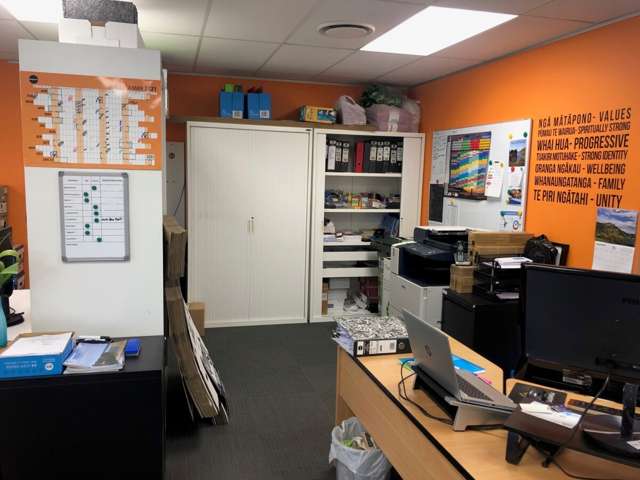 15 Hardinge Road Ahuriri_4