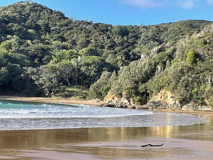 973 & 975 Tuateawa Road Little Bay_33