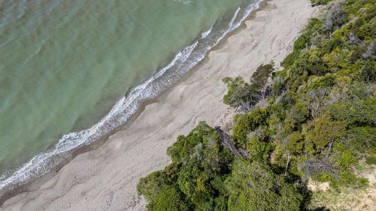 45 Deck Road Tasman_32