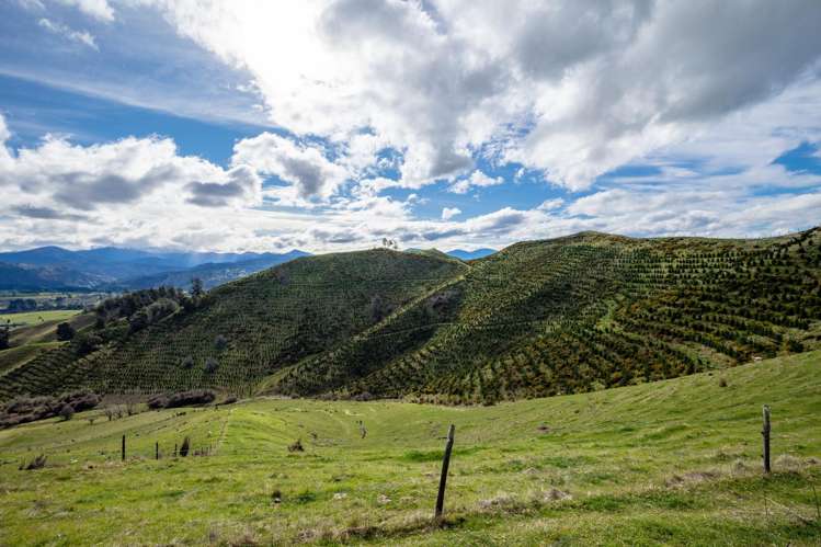 121 Win Valley Road Dovedale_18